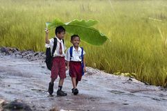 6. Вот для чего нужны друзья. Фотограф Kendisan Seruyan.