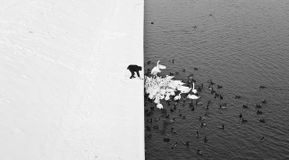 22. Контраст в Кракове, Польша. Фотограф Marcin Ryczek