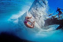 5. Подводное совершенство. Фотограф Sarah Lee.