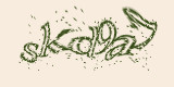 Проверочный код
