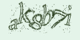 Проверочный код