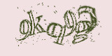 Проверочный код