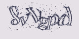 Проверочный код