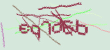 Проверочный код
